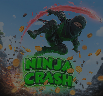 Ninja Crash